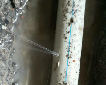 肇庆卫生间测漏水多少钱