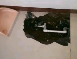 肇庆卫生间测漏水多少钱